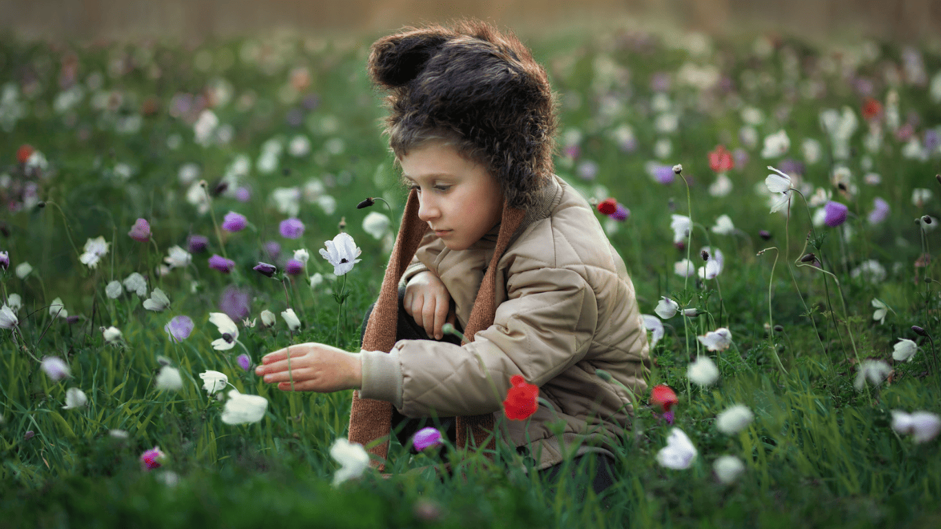 ילד מסתכל על כלניות